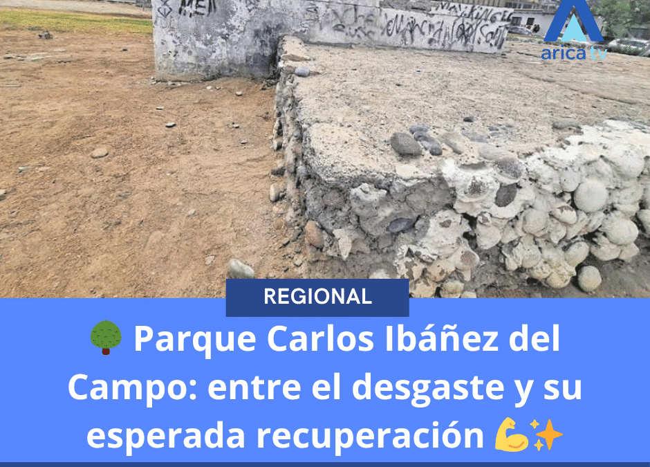 🌳 Parque Carlos Ibáñez del Campo: entre el desgaste y su esperada recuperación 💪✨