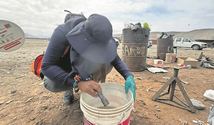 🦟🚨 Confirman segundo caso importado de chikungunya en Arica y Parinacota